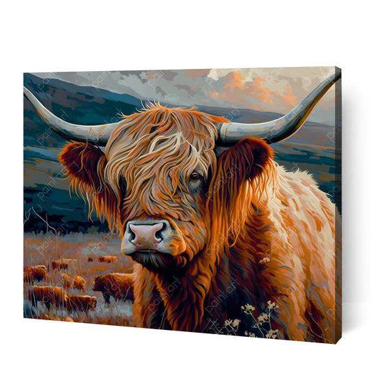Highland Cow III