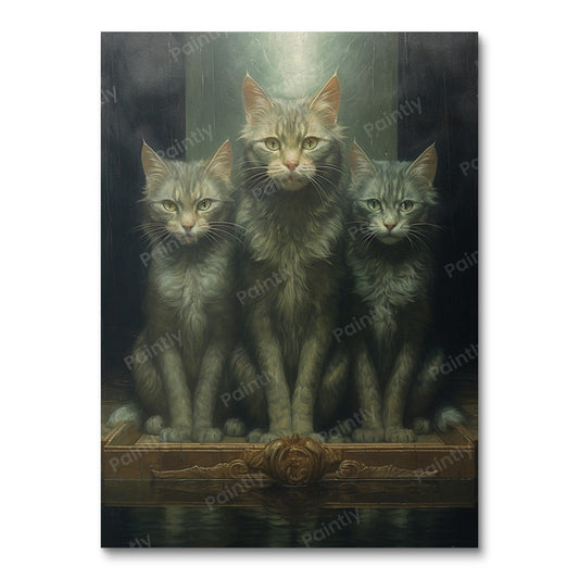 Cat Reflections