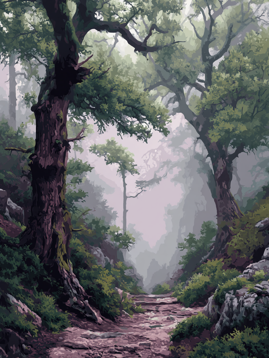 Foggy Forest Stone Trail