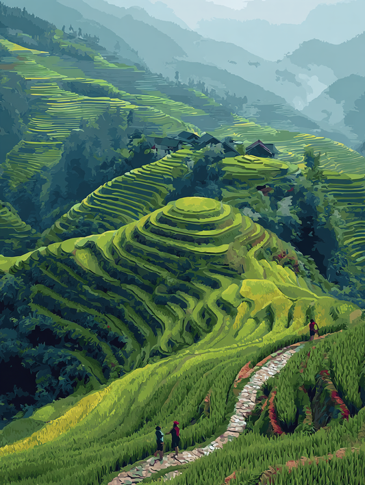 Hillside Paddy Fields Path