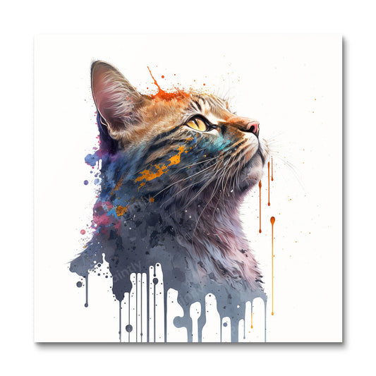 Paint Splash Cat II by Avery