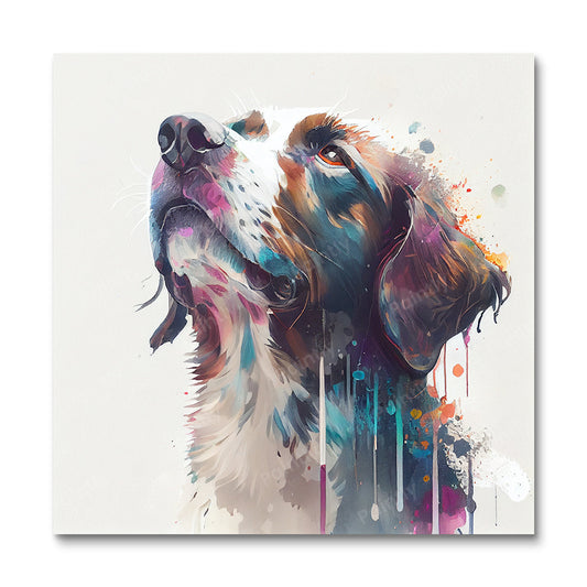 Paint Splash Dog I by Avery