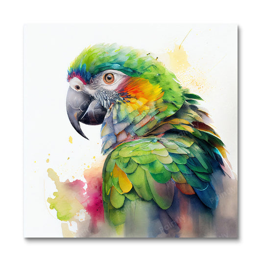 Macaw Portrait