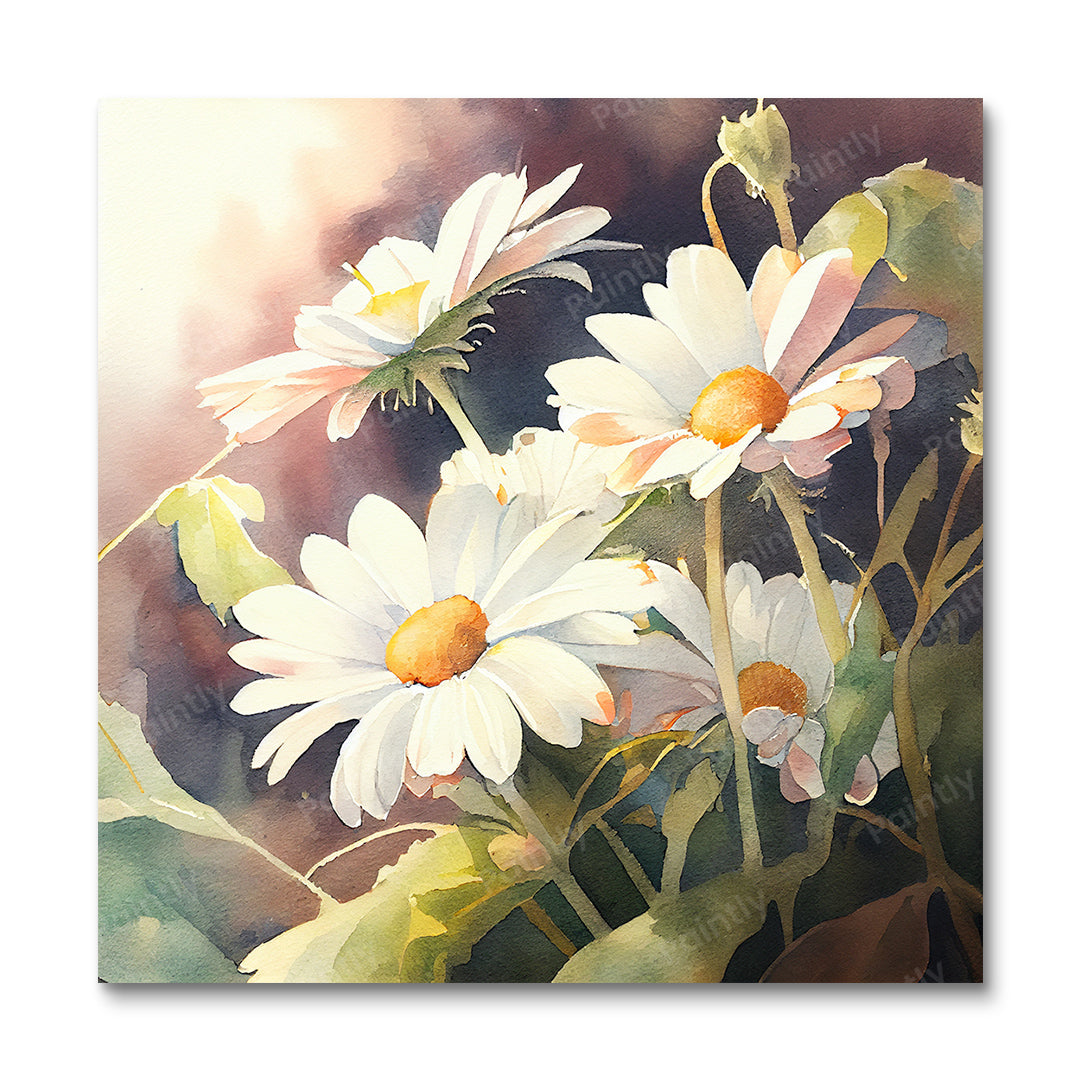 Daisies in the Light