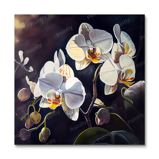 White Orchids