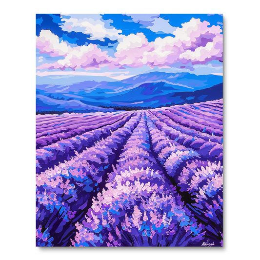 Lavender Field