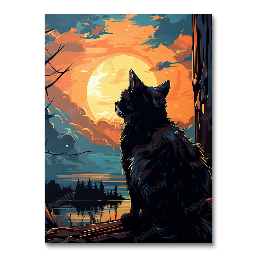Black Cat Omen