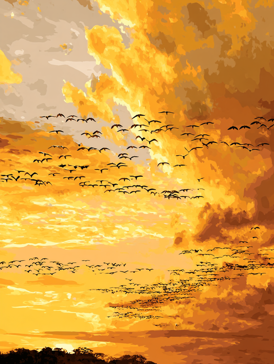 Sunset Flight Silhouetted Birds